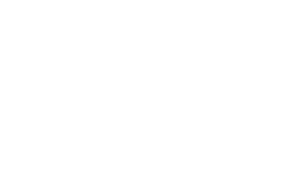 Sorokii Brand